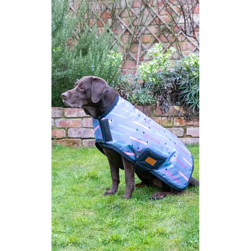 Benji and Flo Dorris The Dachshund Dog Coat - Riviera/Navy-1